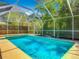 A serene in-ground pool surrounded by a screened enclosure and lush foliage, perfect for outdoor leisure at 830 Christy Dr, Port Orange, FL 32129