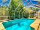 Beautiful screened-in pool surrounded by lush greenery, perfect for relaxation at 830 Christy Dr, Port Orange, FL 32129