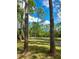 Lake view framed by two large trees; a grassy lawn leads down to the water's edge at 98 Cypress Pond Rd, Port Orange, FL 32128