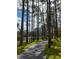 Scenic walking path with tall trees along a lake; a bench provides a spot to rest and enjoy nature at 98 Cypress Pond Rd, Port Orange, FL 32128