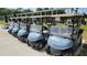Close-up of several golf carts lined up, ready for use on the golf course at 1999 Turnbull Lakes Dr, New Smyrna Beach, FL 32168