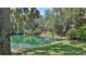 Scenic view of a tranquil pond surrounded by lush greenery and trees with Spanish moss at 1999 Turnbull Lakes Dr, New Smyrna Beach, FL 32168
