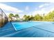 Community pickleball court perfect for outdoor recreation and fitness at 2818 Taton Trce, New Smyrna Beach, FL 32168
