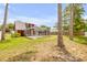 View of the backyard and home with a screened in kidney shaped pool, grass, and trees on a sunny day at 3222 Juniper Dr, Edgewater, FL 32141