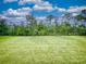 Expansive grassy backyard with a view of the tree line at 534 Stowers Dr, New Smyrna Beach, FL 32168