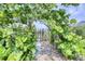 Charming walkway framed by lush greenery leads to the private beach access, enhancing the property's appeal at 6320 S Atlantic Ave, New Smyrna Beach, FL 32169