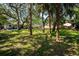 Lush green backyard with mature palm trees providing shade and privacy at 804 E 12Th Ave, New Smyrna Beach, FL 32169