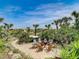 Backyard featuring a cozy fire pit area surrounded by natural greenery and palm trees at 1421 N Atlantic Ave, New Smyrna Beach, FL 32169