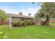 Backyard view showcasing a cozy wooden deck, vibrant foliage, and a well-maintained lawn at 1723 Needle Palm Dr, Edgewater, FL 32132