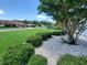 Beautifully landscaped front yard, lush lawn, and mature trees enhance this home's curb appeal in a quiet neighborhood at 1941 Spruce Creek Lndg, Port Orange, FL 32128
