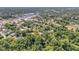 Lush green neighborhood aerial showcasing established trees and diverse architecture, complemented by the city's backdrop at 200 W Washington Ave, Deland, FL 32720