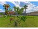 Spacious backyard featuring a lush lawn and fruit tree with a glimpse of the pool area at 3326 S Peninsula Dr, Port Orange, FL 32127