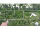Aerial view of lot ready for development surrounded by mature trees in a serene setting at 585 Corbin Park Rd, New Smyrna Beach, FL 32168