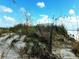 Scenic dunes covered with lush grasses and a weathered fence overlooking a peaceful beach at 585 Corbin Park Rd, New Smyrna Beach, FL 32168