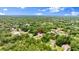 Aerial view of a home nestled among lush greenery, showcasing the property's serene and private setting at 680 Buford Ave, Orange City, FL 32763