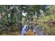 Scenic river view surrounded by green trees, featuring calm water, and natural beauty at 798 Fairway Dr, New Smyrna Beach, FL 32168