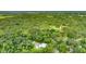 Overhead view showcasing the home nestled amongst a tranquil wooded landscape at 2360 Mooneyham Dr, New Smyrna Beach, FL 32168