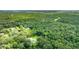 A peaceful aerial view of a home located within a serene wooded area at 2360 Mooneyham Dr, New Smyrna Beach, FL 32168