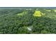 A serene aerial view of the property, surrounded by verdant foliage and mature trees at 2360 Mooneyham Dr, New Smyrna Beach, FL 32168