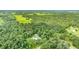 Aerial view showing expansive property with lush greenery and a secluded home at 2360 Mooneyham Dr, New Smyrna Beach, FL 32168