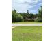 Scenic view of a pond lined with trees, complemented by a well-maintained lawn and a peaceful street at 2918 Mango Tree Dr, Edgewater, FL 32141