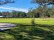 Expansive green backyard with mature trees and fencing, providing a private and serene outdoor space at 5832 Michelle Ln, Sanford, FL 32771
