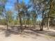 View of a spacious plot of land with mature trees, offering potential for building or recreation at 5832 Michelle Ln, Sanford, FL 32771