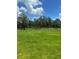 Expansive green field with trees and blue skies at 5832 Michelle Ln, Sanford, FL 32771
