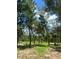 Natural landscape with trees and grassy area at 5832 Michelle Ln, Sanford, FL 32771