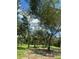 Green field with mature trees at 5832 Michelle Ln, Sanford, FL 32771
