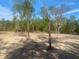 A spacious plot of land partially cleared with some trees, suitable for building at 5832 Michelle Ln, Sanford, FL 32771