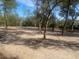 A mostly-cleared vacant lot with some trees, suggesting readiness for construction or landscaping at 5832 Michelle Ln, Sanford, FL 32771