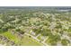 Expansive aerial view of a lush, green neighborhood with well-maintained homes and mature trees at 805 Spruce St, New Smyrna Beach, FL 32168