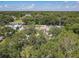 Aerial view of homes surrounded by lush greenery and mature trees in a serene neighborhood at 1421 Pine Tree Dr, Edgewater, FL 32132