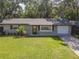 Charming single-story home with manicured lawn and mature landscaping, including mature trees and a palm at 1421 Pine Tree Dr, Edgewater, FL 32132