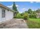 Back patio area surrounded by tropical plants and privacy fence, with access to the backyard at 1903 Willow Oak Dr, Edgewater, FL 32141