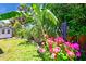 Beautiful tropical flowering plants line a fenced yard with a shed and banana trees at 22 Sand Dune Dr, New Smyrna Beach, FL 32169