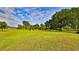 Expansive green lawn with mature trees and ample space for outdoor activities and relaxation at 314 Carol Ann Dr, Edgewater, FL 32132