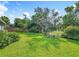 A view of the backyard with lush green lawn, mature landscaping, and a fence line at 343 Sweet Bay Ave, New Smyrna Beach, FL 32168