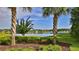 A picturesque view of the lake framed by palm trees and lush greenery creating a tranquil setting at 349 Caryota Ct, New Smyrna Beach, FL 32168