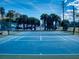 Outdoor tennis court with a net and blue surface, surrounded by palm trees at 4175 S Atlantic Ave # 4110, New Smyrna Beach, FL 32169