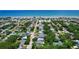 A stunning aerial perspective showcasing a coastal community where homes are nestled among vibrant, lush greenery, near the shore at 805 E 18Th Ave, New Smyrna Beach, FL 32169