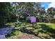 Lush backyard showcasing a cute pink shed and mature trees, perfect for outdoor relaxation and storage at 805 E 18Th Ave, New Smyrna Beach, FL 32169
