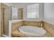 A glass enclosed shower highlights the bright bathroom with large tub at 5849 Ansley Way, Mount Dora, FL 32757
