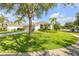 Expansive front lawn featuring lush green grass, mature trees, and landscaping that enhances curb appeal at 5849 Ansley Way, Mount Dora, FL 32757
