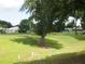 Picturesque golf course view highlighting mature trees and well-maintained green space at 3918 Doune Way, Clermont, FL 34711