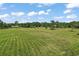 Scenic view of a expansive grassy land, perfect for recreation and relaxation under a sunny sky at 10290 Buck Rd, Orlando, FL 32817