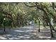 A long paved driveway, lined with mature trees and lampposts, leads to the estate at 4852 S Peninsula Dr, Ponce Inlet, FL 32127
