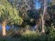 Waterfront property with dock access and mature palm trees at 14 Weston Rd, Leesburg, FL 34748