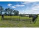 On-site dog park surrounded by lush landscaping, with secure fencing ensuring a safe play area at 14038 Scarlet Aster Aly, Winter Garden, FL 34787